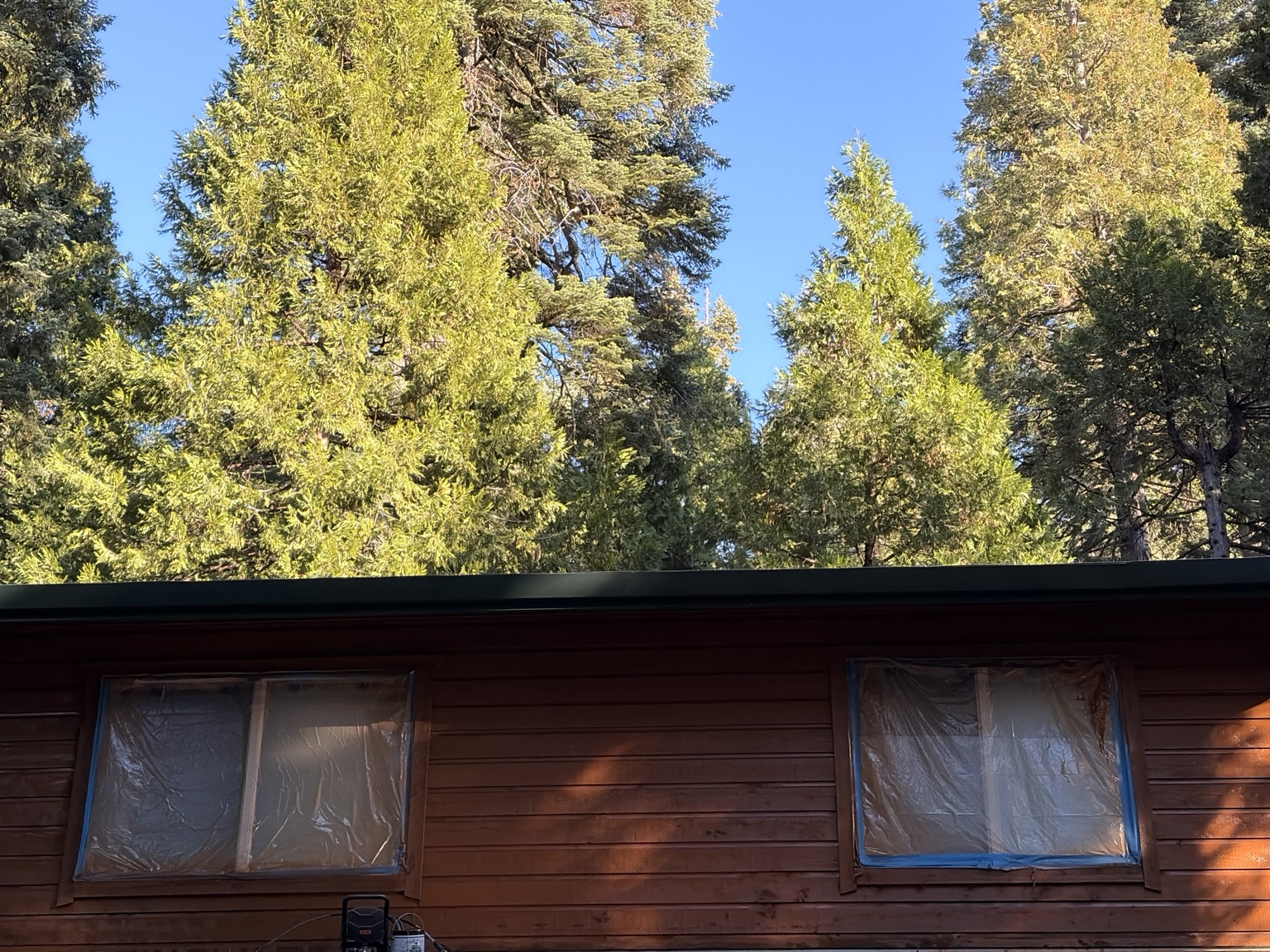 Exterior Staining & Preservation project photo 12