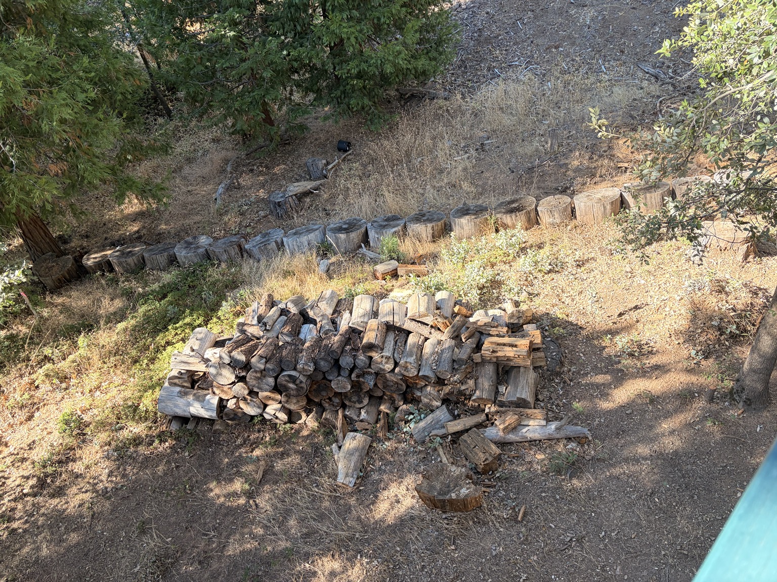 Property Cleanup & Lot Work project photo 25