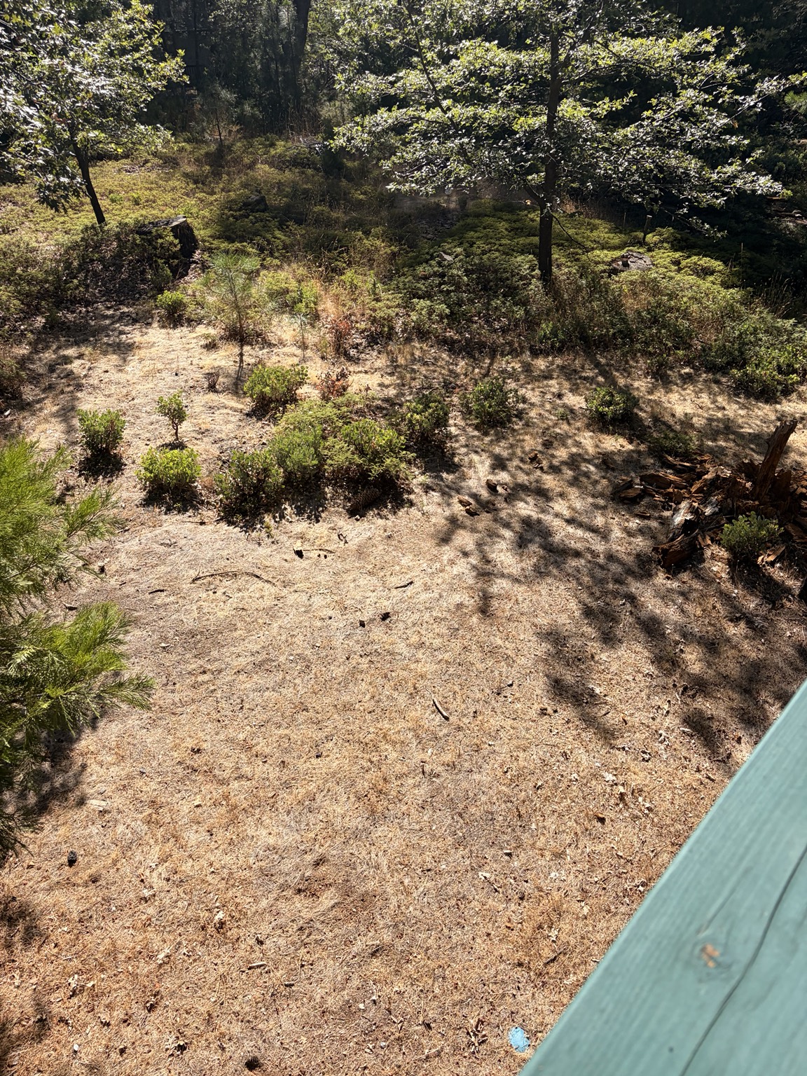 Property Cleanup & Lot Work project photo 26