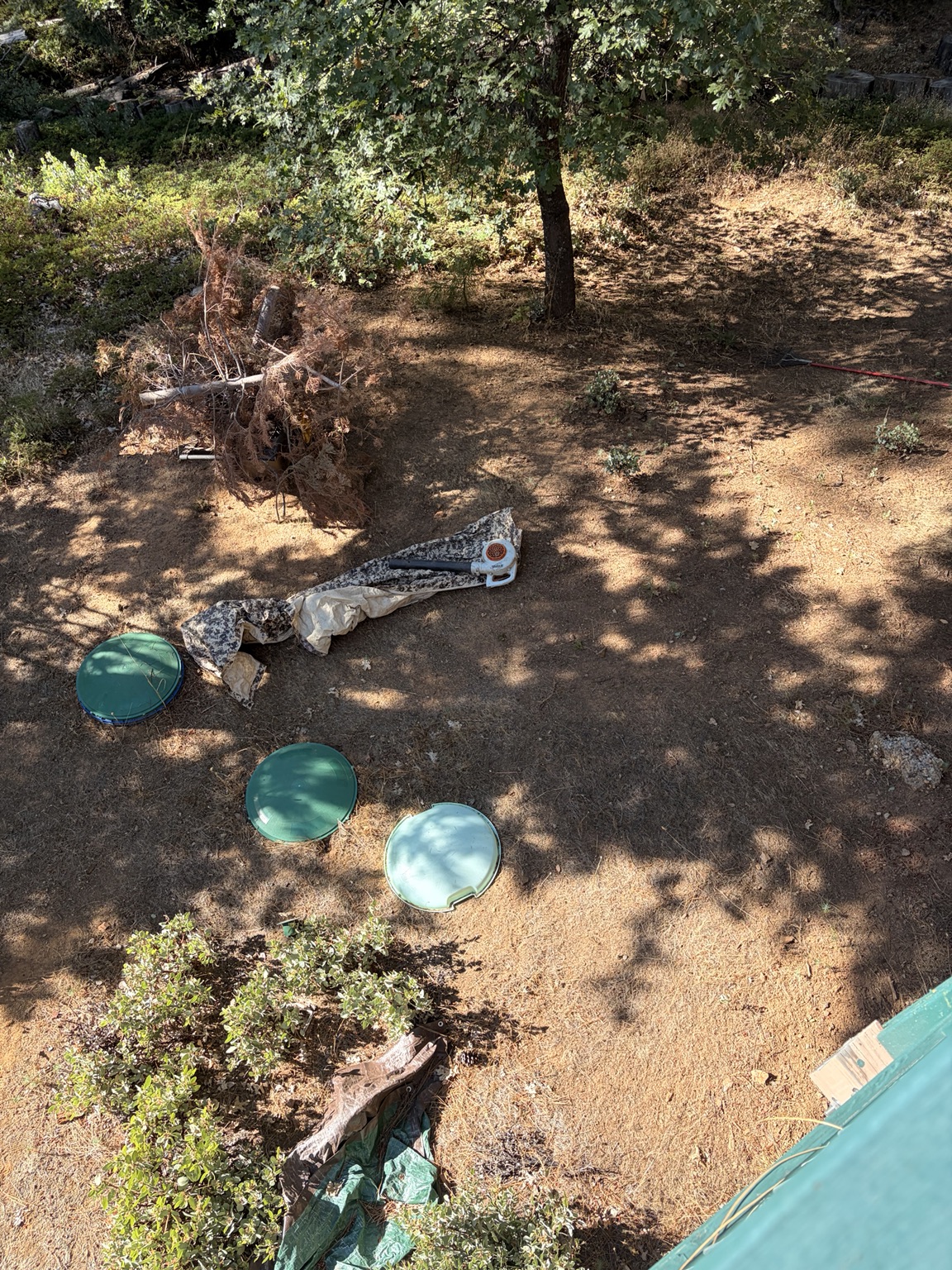 Property Cleanup & Lot Work project photo 27