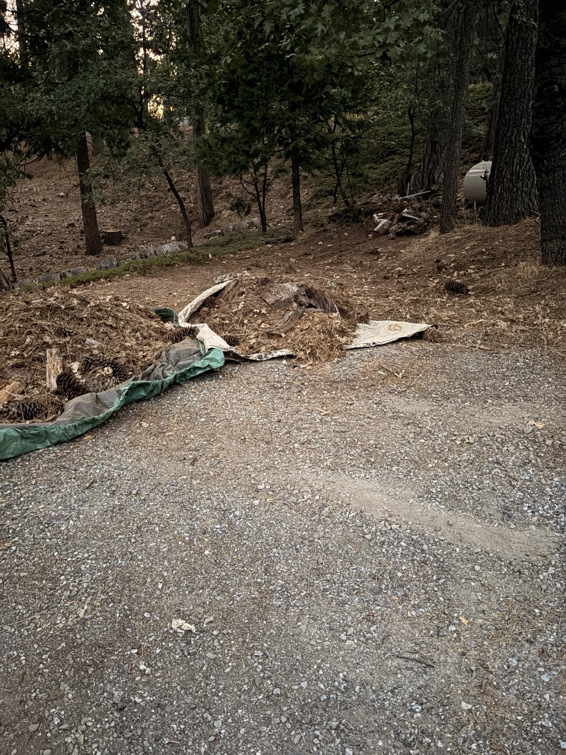 Property Cleanup & Lot Work project photo 29