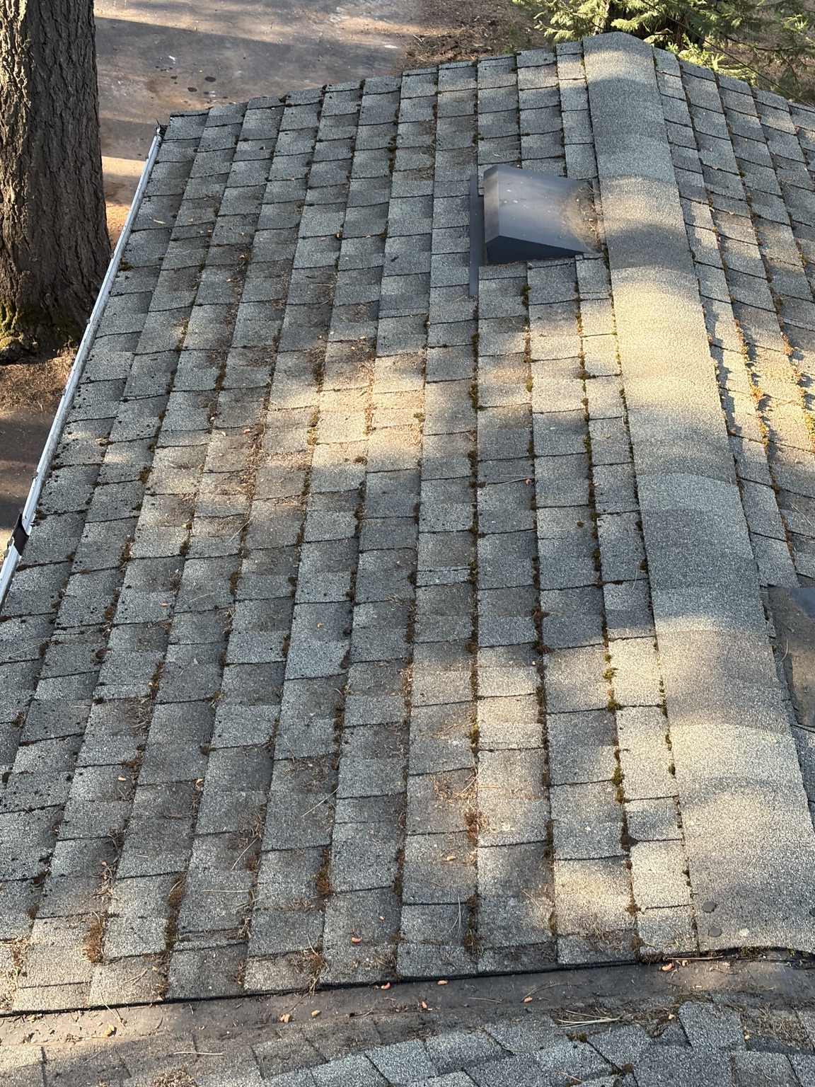 Roofing & Roof Care project photo 7
